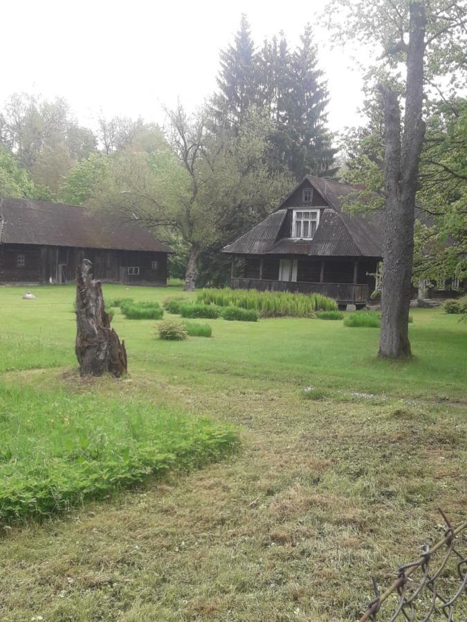 In Nature Białowieża Exterior foto